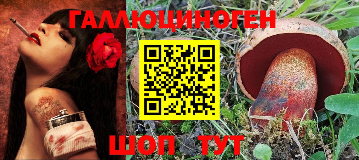 Ефремов  Псилоцибиновые грибы мухоморы  Псилоцибиновые грибы MAGIC MUSHROOMS  Вход с VPN 